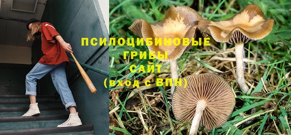 винт Новозыбков