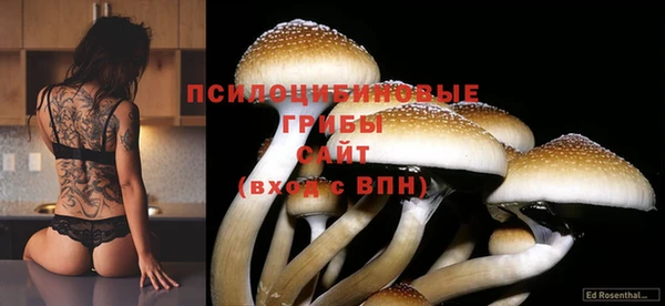 винт Новозыбков
