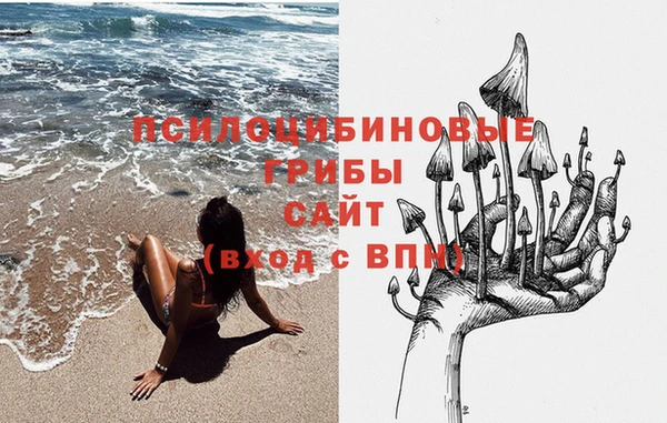 соль курить ск Нея