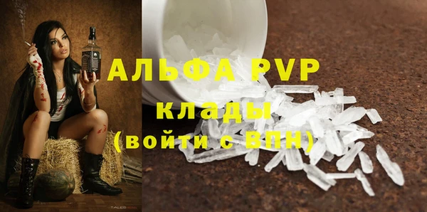 гидра Новодвинск