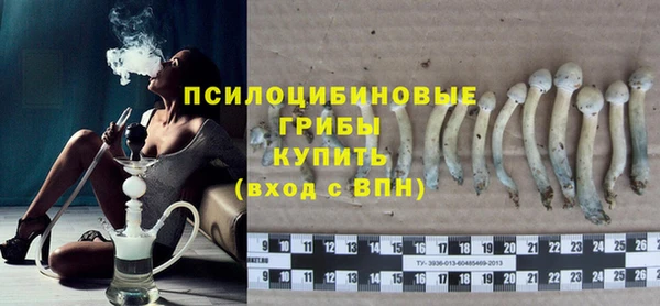 гидра Новодвинск